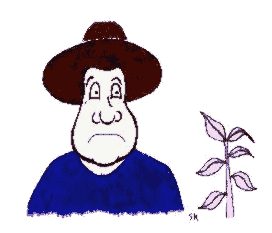 Pudlong and the Beanstalk (7k)